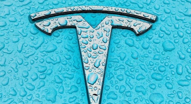 The Inspiring Journey of Elon Musk Success